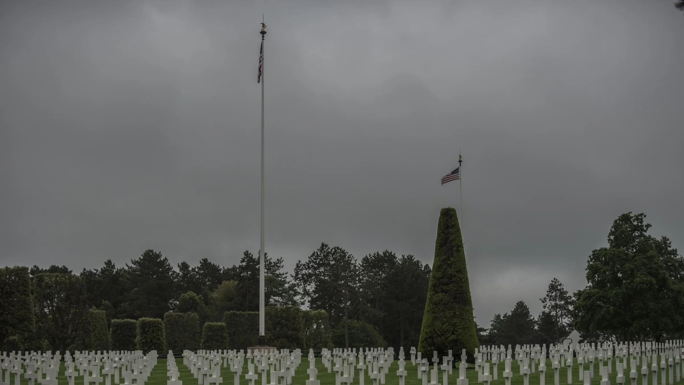 Rooted Veterans Network — Rooted Veterans Network: An Investor & Funder Plan for Veteran Mental Fitness