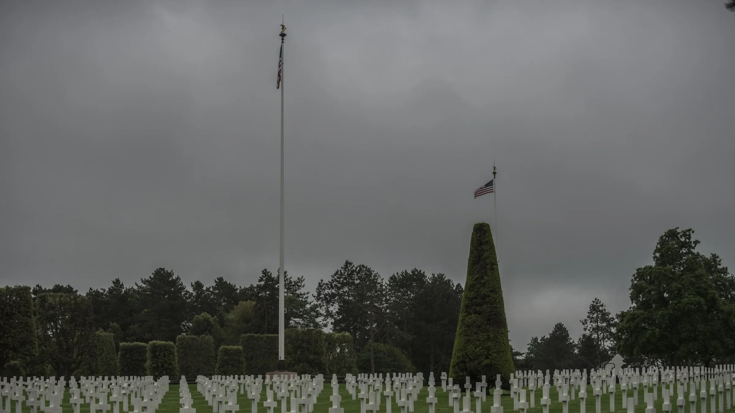Rooted Veterans Network: An Investor & Funder Plan for Veteran Mental Fitness